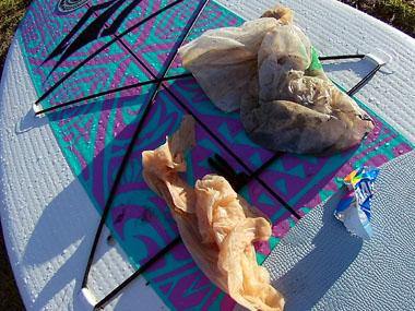 It's World Oceans Day - Let the LLS Plastic Pick Up Challenge Begins! - LIVE LOVE SUP